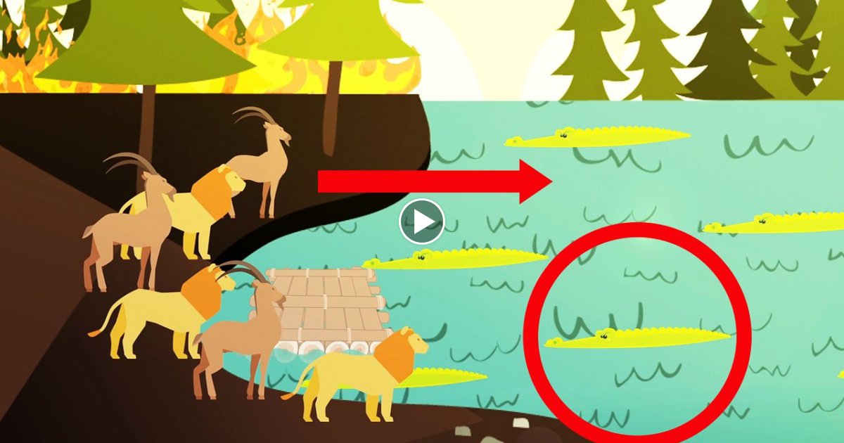 Löse das Rätsel, um die Tiere zu retten!