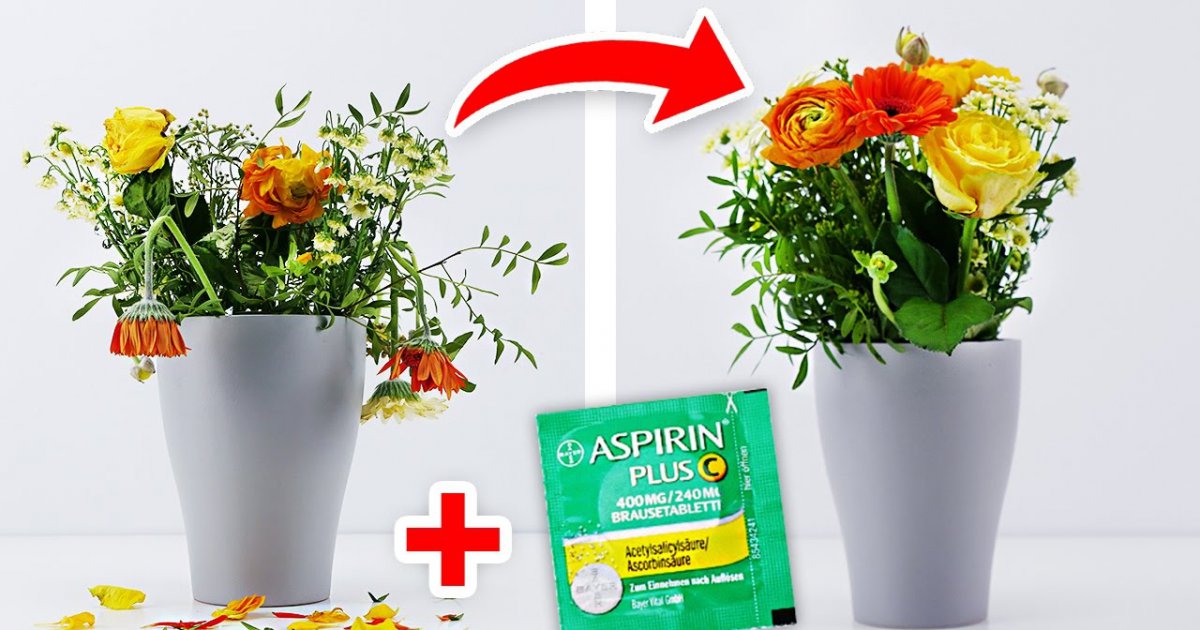 8 einfache Wege Blumen länger frisch zu halten!