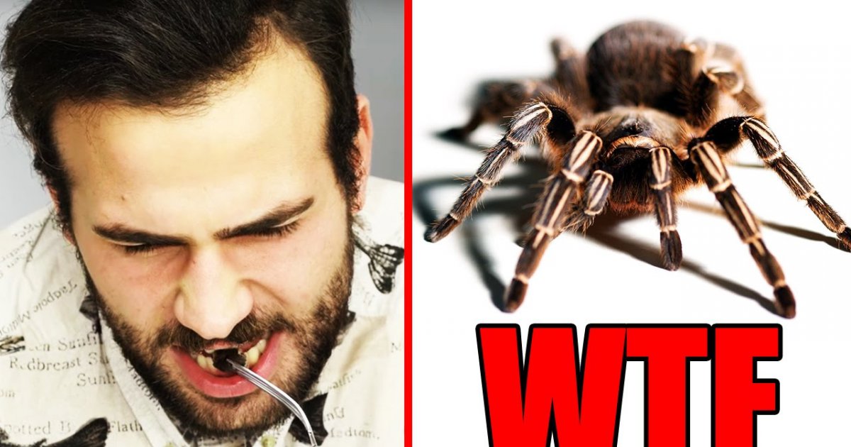 MENSCHEN ESSEN INSEKTEN ? Vogelspinne, Skorpion,...