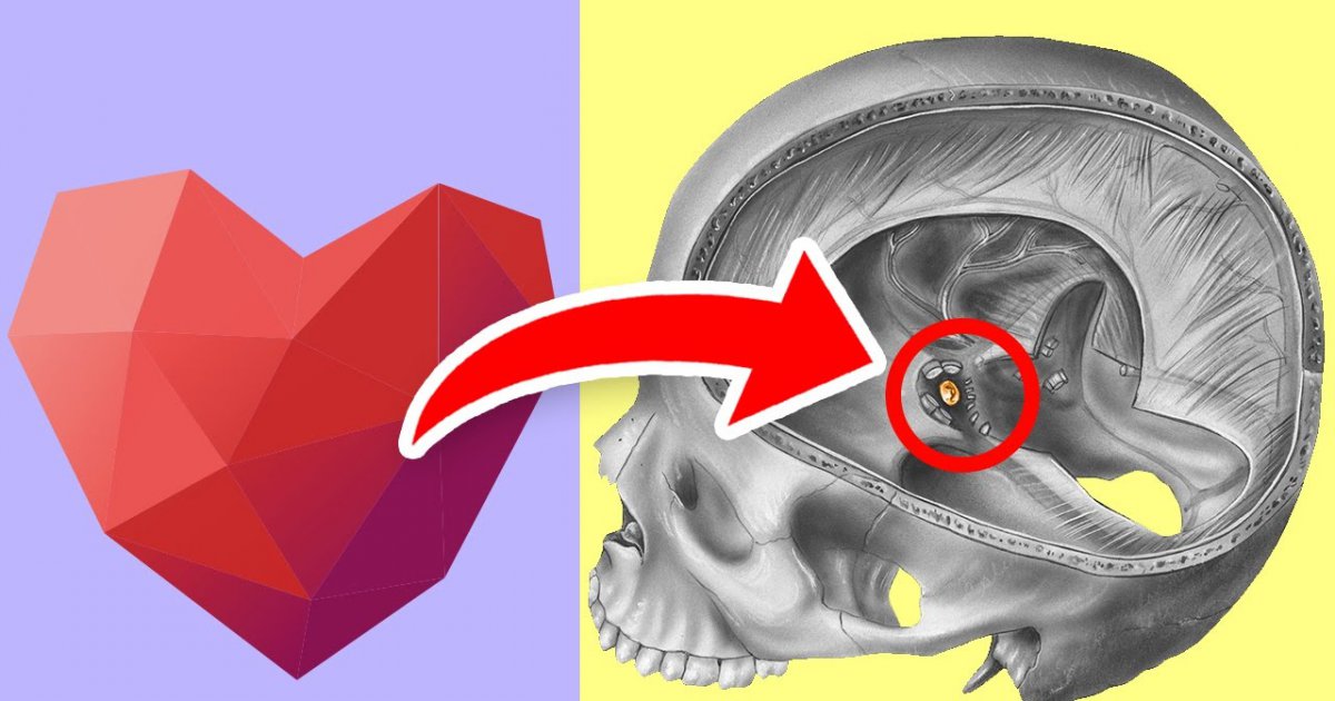 Warum brauchen wir OXYTOCIN?