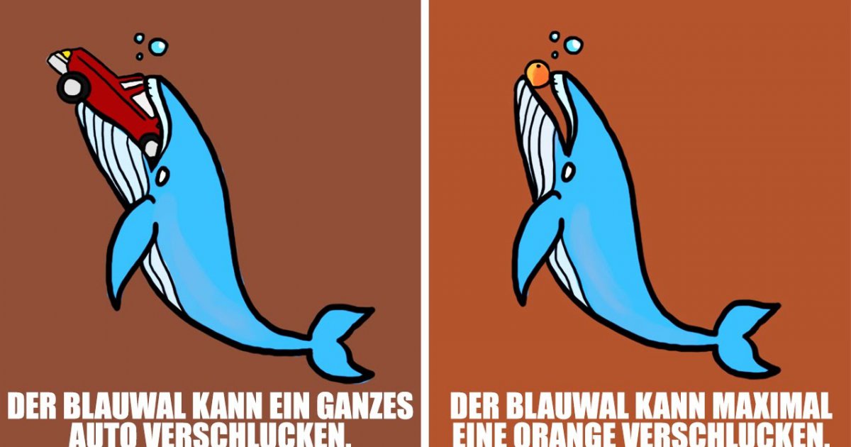 5 LÜGEN über TIERE die wir bis heute geglaubt haben!