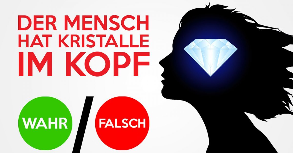 Sind diese Fakten WAHR ODER FALSCH?