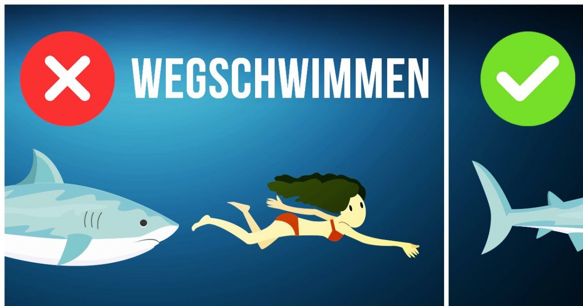 6 Dinge die sich einfach nur Falsch anhören ABER Wahr sind!