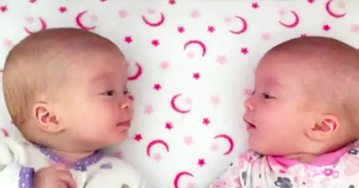 Zwillings-Babys unterhalten sich