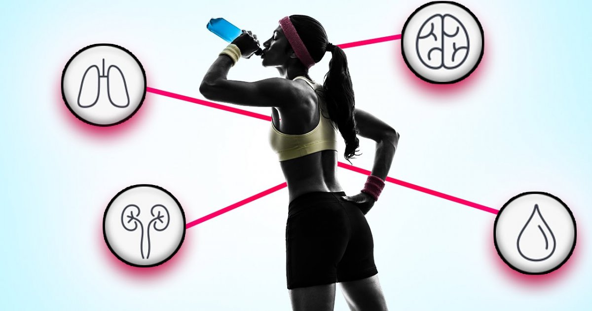 Das machen ENERGY-DRINKS mit deinem KÖRPER ??