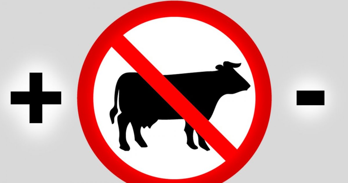 Das passiert, wenn du KEIN FLEISCH mehr isst!