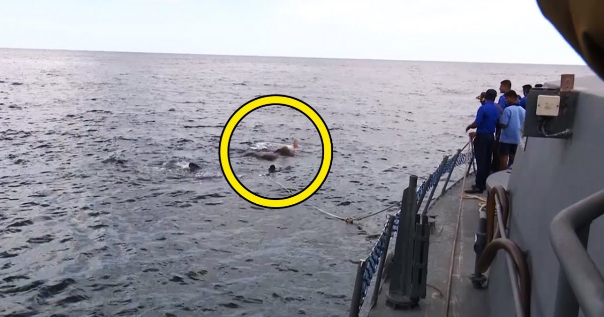 Rettungsaktion mitten im Meer - Du wirst nicht glauben, um welches Tier es sich handelt.