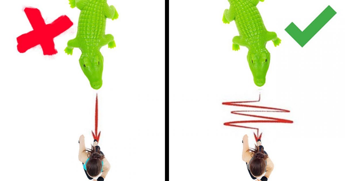 6 Tipps für den Notfall!