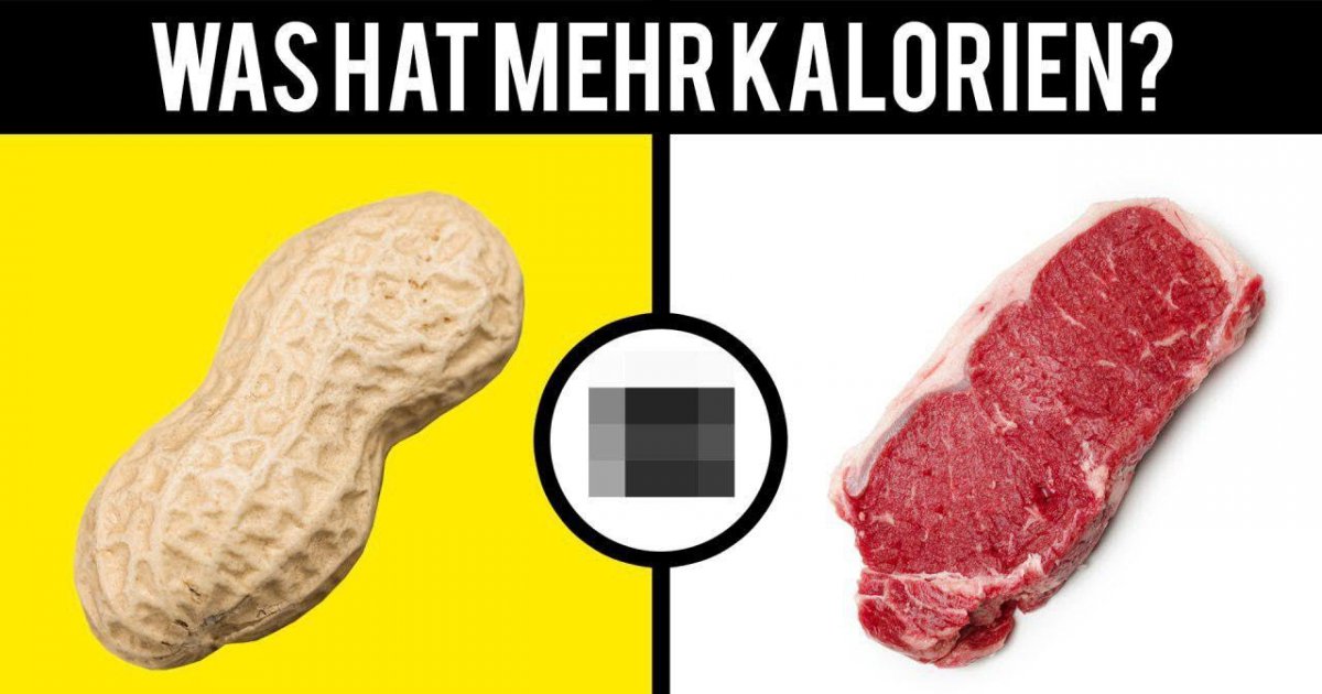 Sind diese 10 Fakten WAHR oder FALSCH?