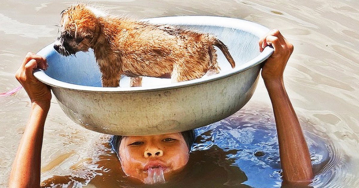 8 Fotos von Menschen, die unsere Welt zu einem besseren Ort machen!