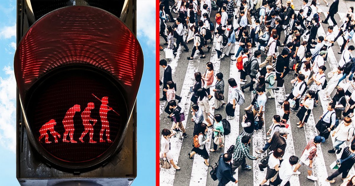Wie lange warten wir in unserem Leben vor Ampeln?