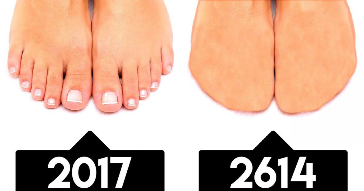 Diese 6 Körperteile werden irgendwann verschwinden!