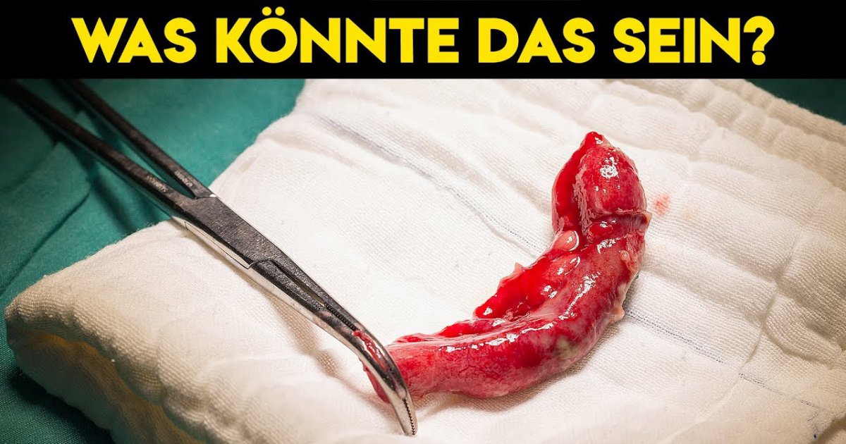7 unglaubliche Dinge die du noch nie gesehen hast