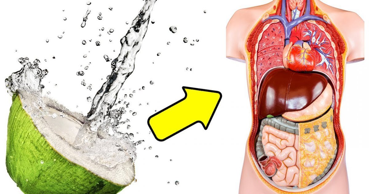 Deshalb solltest du jeden Tag Kokoswasser trinken!