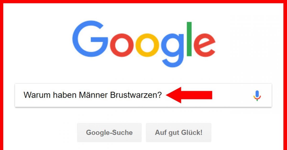Danach hat DEUTSCHLAND 2017 auf GOOGLE gesucht!