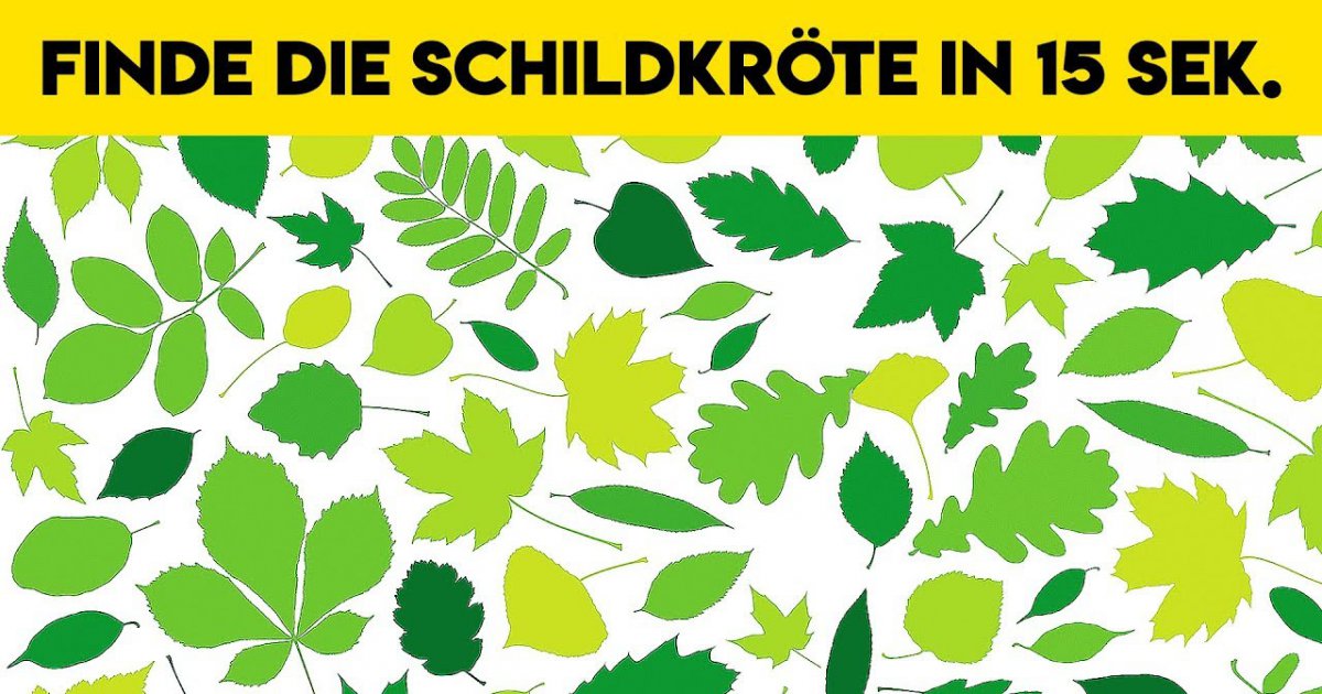 Dieser TEST deckt deine Persönlichkeit auf!