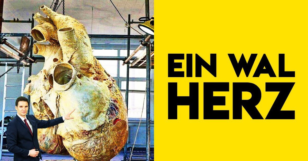 10 Dinge die unsere VORSTELLUNGSKRAFT übersteigen!