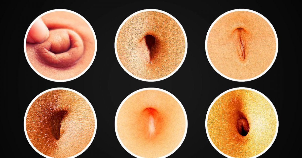 7 FAKTEN über deinen BAUCHNABEL!