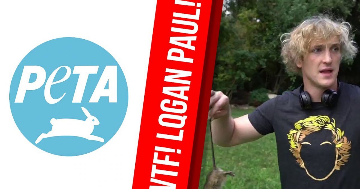 LOGAN PAUL SORGT für den NÄCHSTEN SKANDAL! TIERSCHUTZVEREINE ALARMIERT!